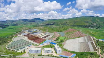 蝦青素提高您的生活質(zhì)量,健康美麗多一點