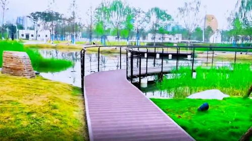 游覽武漢城區(qū)一座魚主題公園 面積超10個球場,地下還有巨型工廠