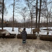 安圖長白山雪絨花馴鹿園游玩-長白山雪絨花馴鹿園門票多少錢/價(jià)格表-團(tuán)購票價(jià)預(yù)定優(yōu)惠-景點(diǎn)地址在哪里/圖片介紹/參觀預(yù)約/旅游游覽順序及注意事項(xiàng)/營業(yè)時間-】