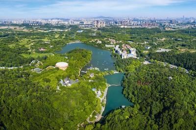 草地露營、國潮音樂節、少兒音樂匯 南京珍珠泉度假區假期精彩紛呈，盡顯卓越園區管理服務