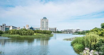 無(wú)錫免費(fèi)景區(qū)深度盤(pán)點(diǎn)與高效游覽攻略